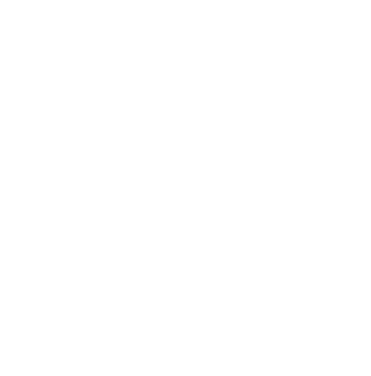 NorthSails_Bullet_white