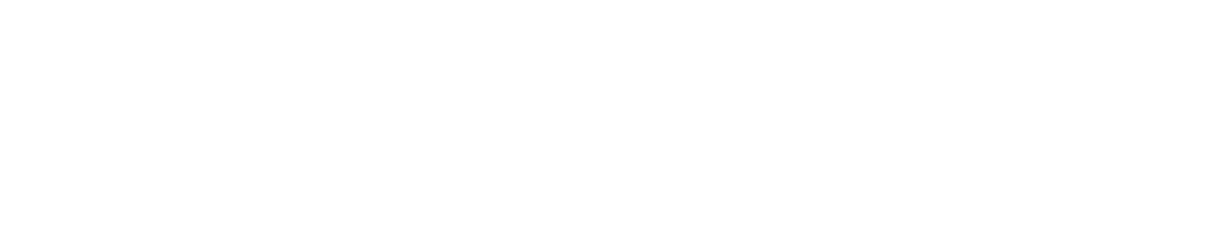 SalvatoriLogoLargeNegNB-01