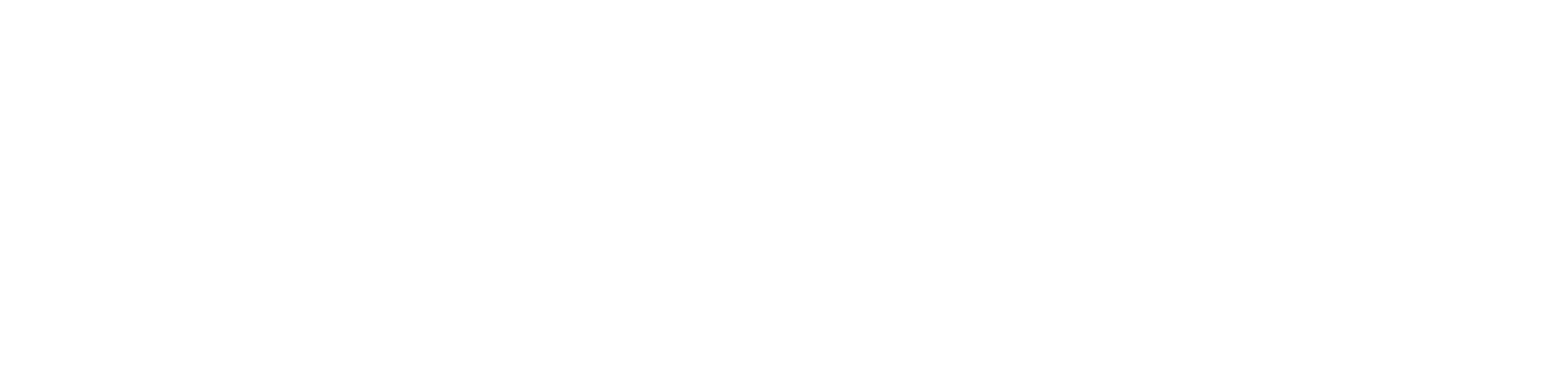cc-tapis logo_outlines WHITE