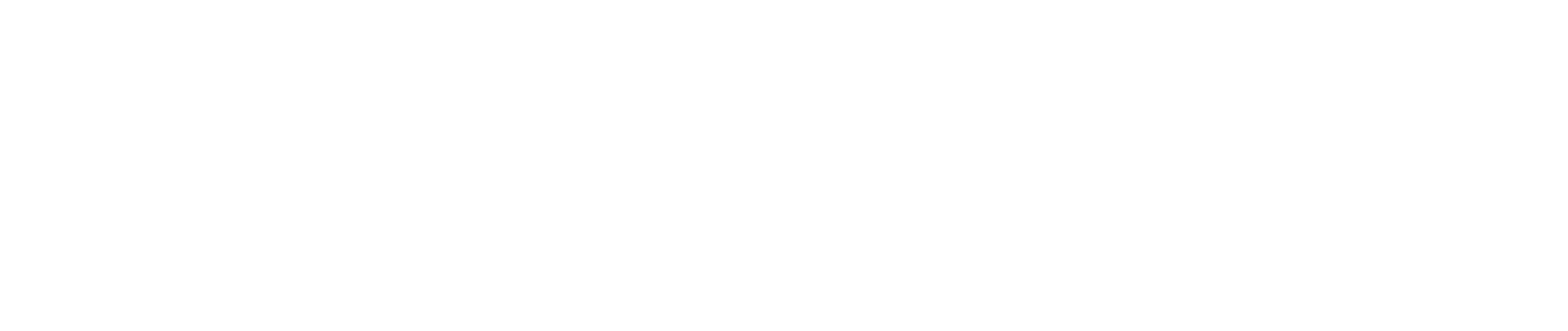 logo_Venini-01